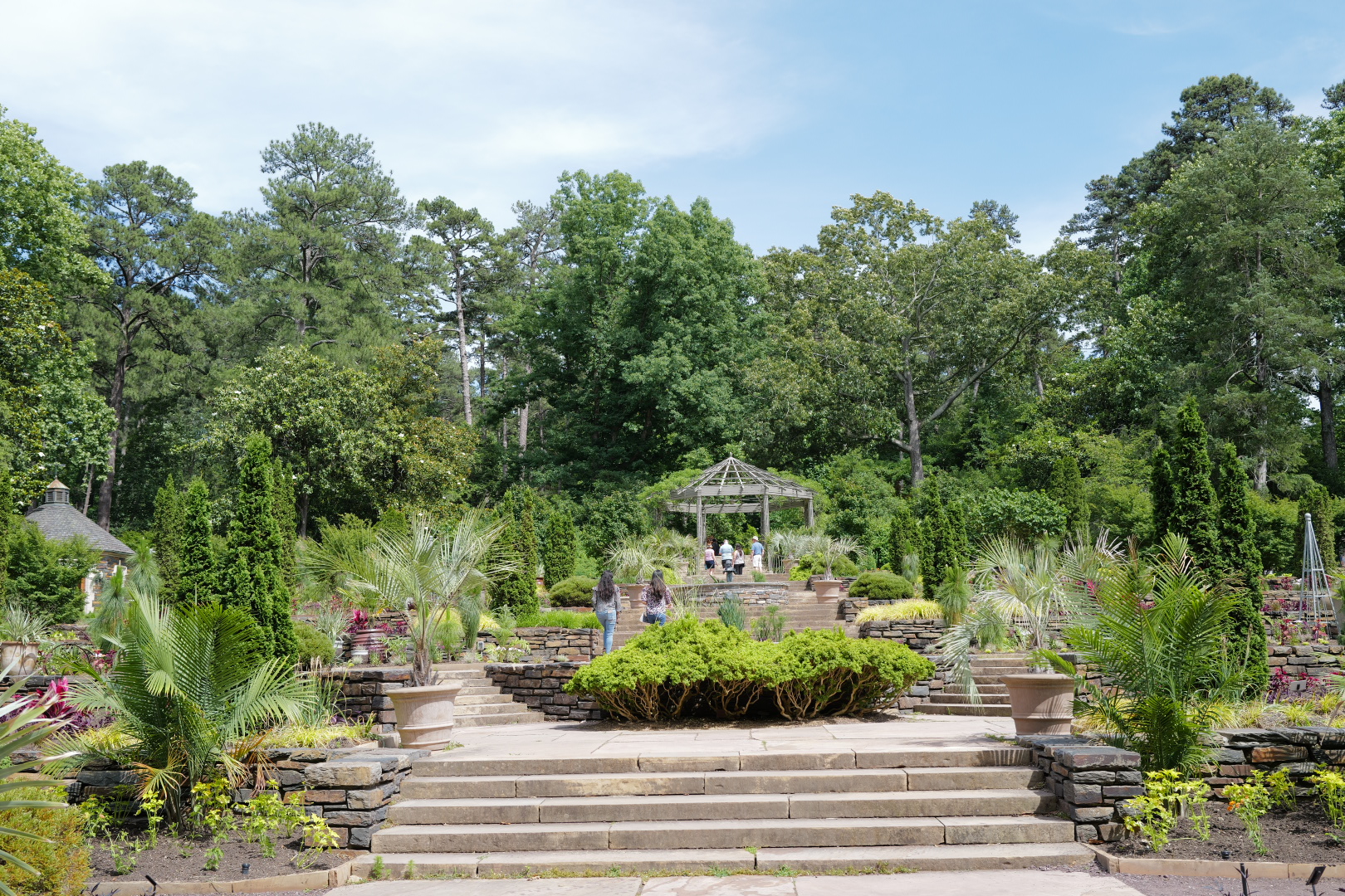 Stone steps leading up through a manicured Italianate garden at Duke University β palmettos, gazebo, dense green canopy beyond