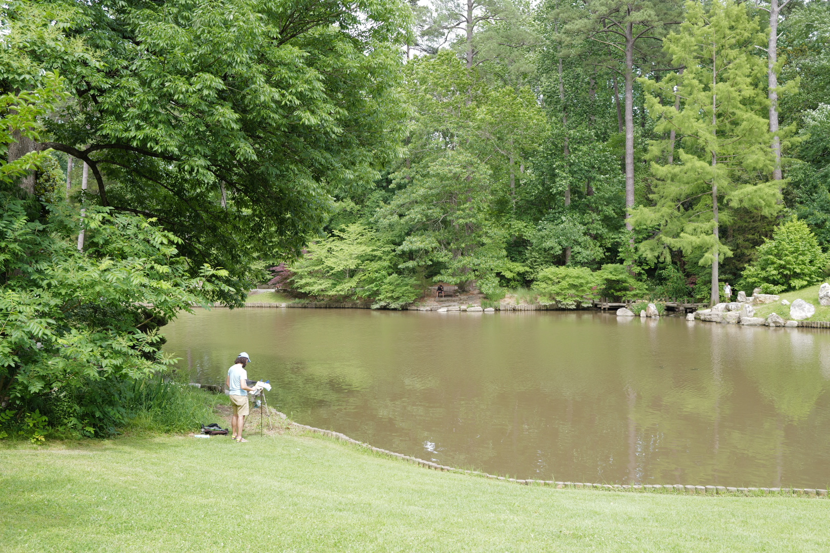 A still green pond at Duke Gardens with one person fishing on the bank, dense tree canopy behind