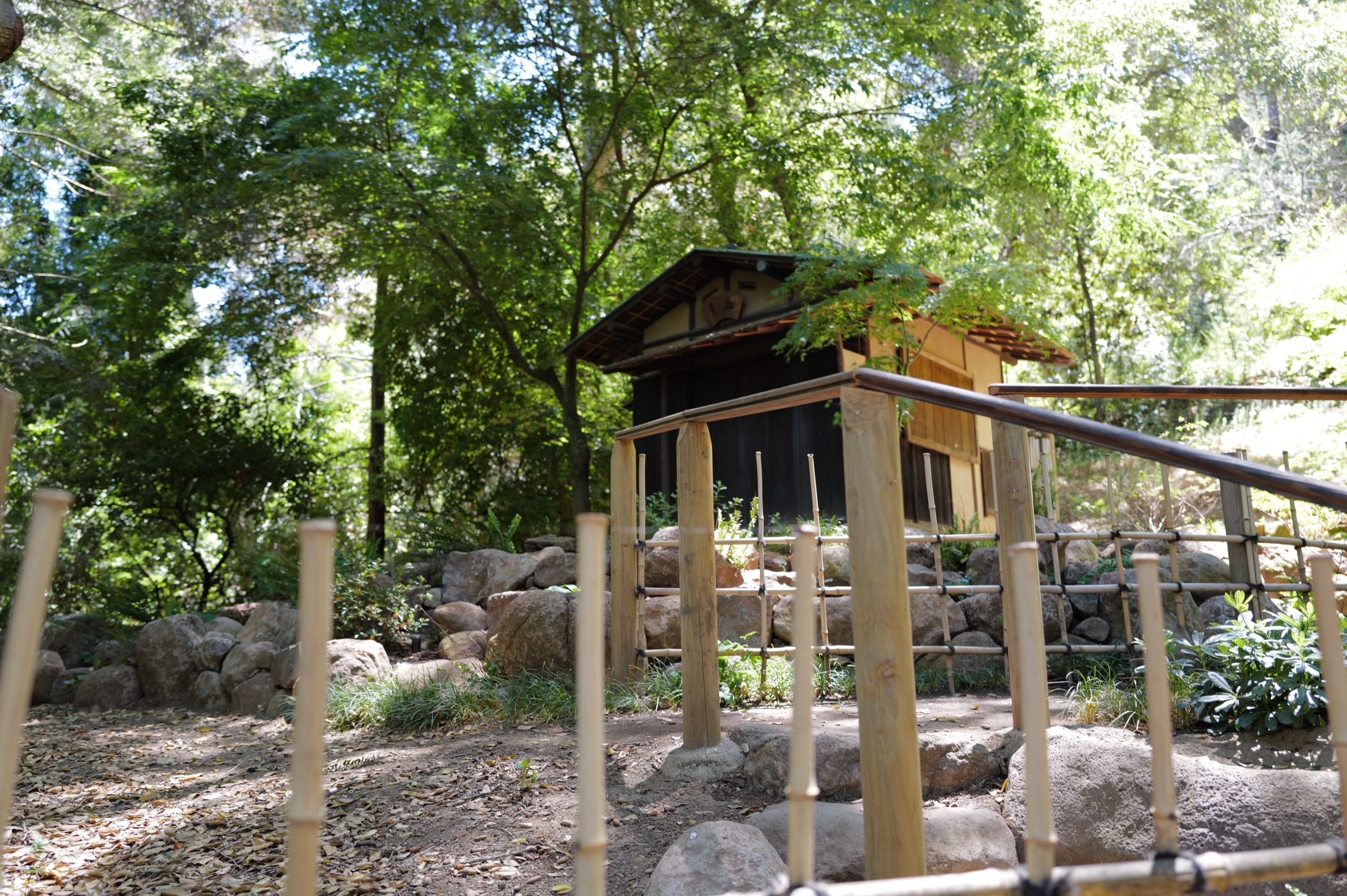 A small wooden Japanese tea pavilion partially hidden by trees, with a bamboo fence in the foreground